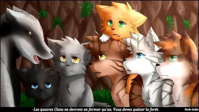 Un jour, le clan des étoiles désigne 4 élus pour aller là où le soleil sombre dans l'eau. Qui sont-ils ?