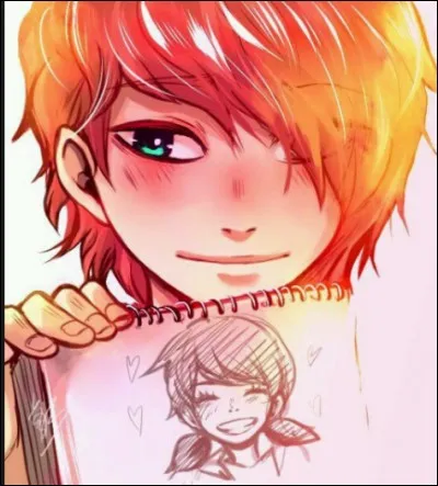 Qui était amoureux de Marinette ?