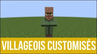 Quel est le rôle des villageois verts ?