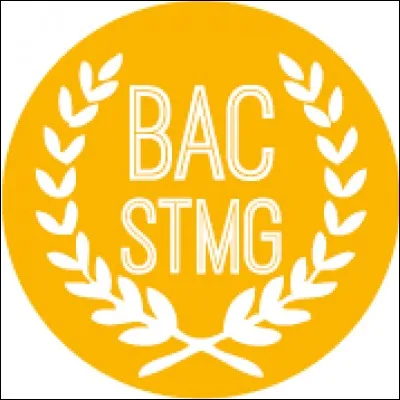Lyc&eacute;e : La fili&egrave;re STMG permet d'obtenir un baccalaur&eacute;at technologique.