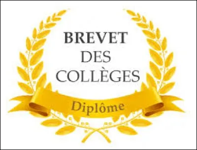 Coll&egrave;ge : Il y a une &eacute;preuve orale d'une dur&eacute;e de 15 minutes &agrave; l'examen du Brevet.
