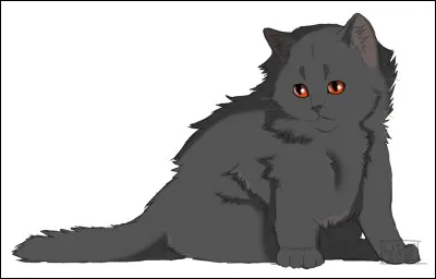 Comment s'appelait Croc Jaune quand elle était chaton ?