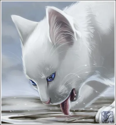 Qui Croc Jaune a-t-elle eu comme mentors ?