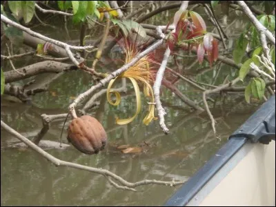 Si vous ne trouvez pas, c'est le bouquet !