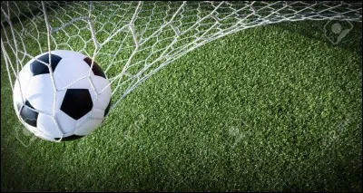 Qui remporte le Ballon d'Or en 1963 ?