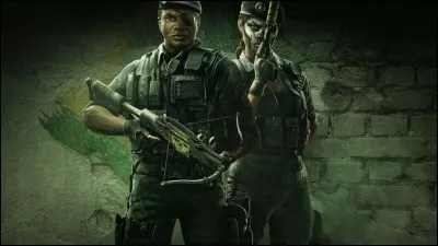 Quelle est la section de ces agents spéciaux ?