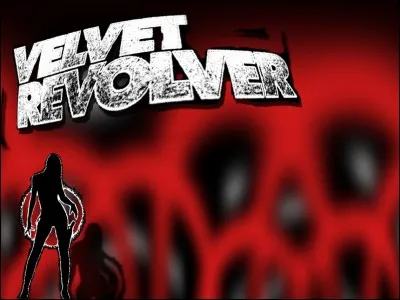 Qui n'a pas rejoint les Velvet Revolver ?