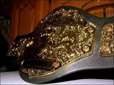 Quelle est cette ceinture ?