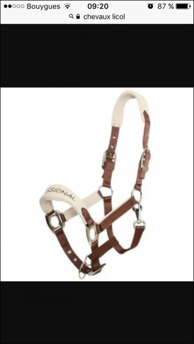 Quel est cet objet ?