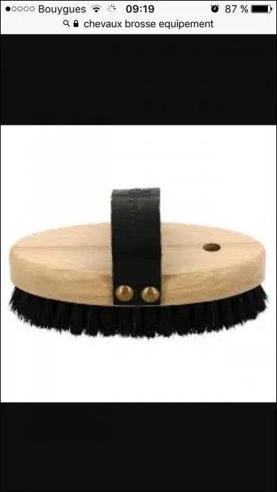 Quelle est cette brosse ?