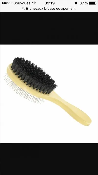 Quelle est cette brosse ?
