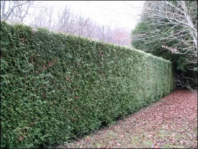 Surmontez l'obstacle et vous trouverez le sport !