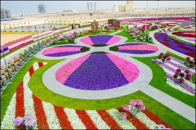 Avec ses 45 millions de bulbes, c'est le plus grand jardin de fleurs naturelles du monde.