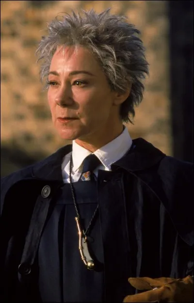 Que peut-on dire à propos du professeur Bibine ?