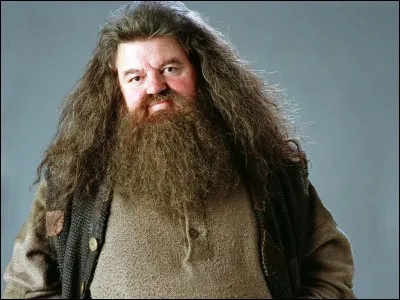 Hagrid est un professeur durant quel film ?