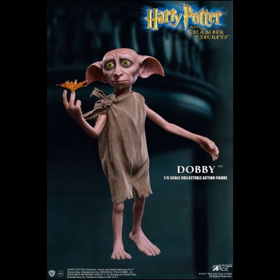 Qui a fait la vidéo « Le saviez-vous ? » sur Dobby ?