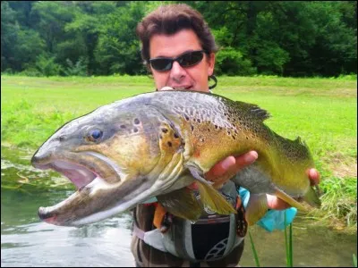 Valses, truite, Schubert !