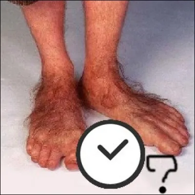 Combien de temps était nécessaire pour poser les prothèses des pieds des Hobbits ?