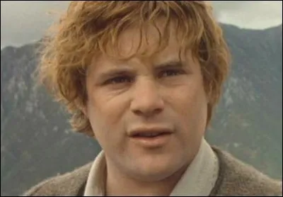 Qu'a demandé l'acteur de Sam ?