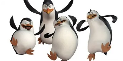 Les Pingouins de Madagascar se trouvent au zoo de Central Park de :