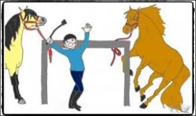 Trouvez une des r&egrave;gles de s&eacute;curit&eacute; dans le club.