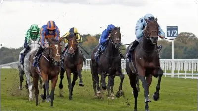 Que faut-il faire pour que le cheval avance ?