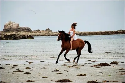 Comment s'appelle le fait de monter sans selle sur un cheval ?