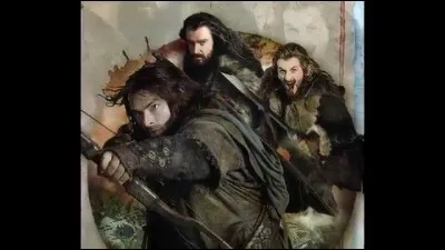 Qui sont Fili et Kili pour Thorïn ?