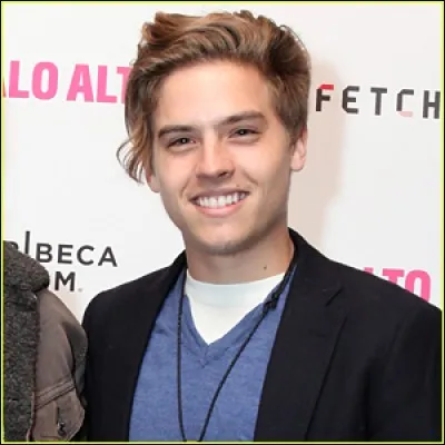 Dans quelle série a-t-il joué avec son frère ?