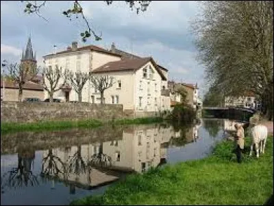 Je vous propose une balade sur les rives de la Mortagne, à Rambervillers. Ville du Grand-Est, connue pour sa tête de veau, elle se situe dans le département ...