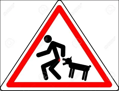 Doté d'une force inconcevable et d'une extrême vigilance. Ce chien est digne de confiance au détriment de son fort caractère. Même si sa réputation n'est pas des meilleures, il est loin d'être ce qu'on décrit de lui. Qui est-il ?