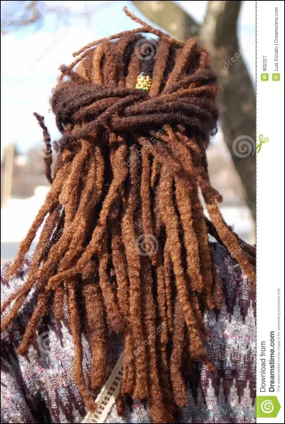 C'est un chien très populaire en raison de ses caractéristiques rasta qui rendent cette race unique. Il s'agit d'un chien de berger de grande taille et au caractère territorial, protecteur et très courageux. C'est aussi un chien extrêmement intelligent et obéissant que vous pouvez éduquer activement car il répondra très bien à vos indications. La sociabilisation de cette race est essentielle. Le .