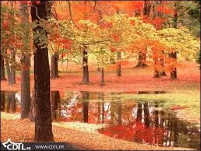 Quelle chanteuse pop et disco a chanté ''Autumn Changes'' ?