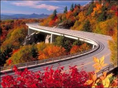 Qui chante ces paroles étranges dans ''Autoroutes jeudi d'automne'' ?

''Je balance mes buvards et tire sur la ficelle
Pour appeler le dément qui inventa l'ennui
Et je promène son masque au fond de mes sacoches
Avec le négatif de nos photos futures.
Je mendie l'oxygène aux sorties des cinoches
Et je vends des compresseurs à mes ladies-bromure''