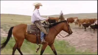 Les femmes de la piste aimerait qu'on leur fournissent de belles bottes pour qu'ensuite, la nuit, elles persoivent dans leurs couches les mouvements des bufs.