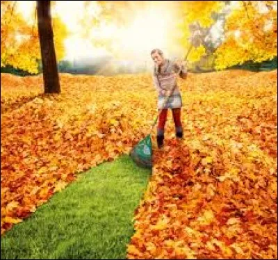 C'est l'automne et comme le disait Yves Montand, les feuilles mortent se rammassent à la pelle.