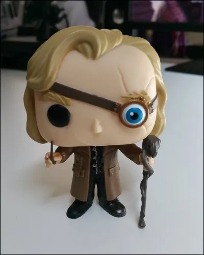 Quelle est la mission des aurors ?