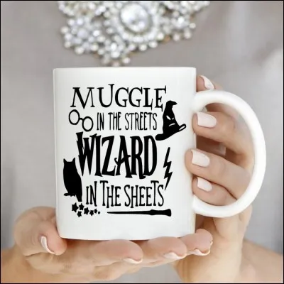 Comment les sorciers appellent-ils les humains qui ne possèdent pas de pouvoirs magiques ?