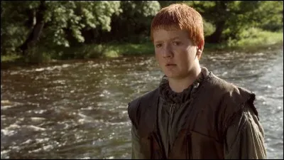 Qui est le petit garçon roux tué par Sandor Clegane sur ordre du prince Joffrey Baratheon ?