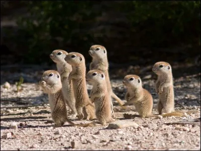 Combien font 4 x 5 ?