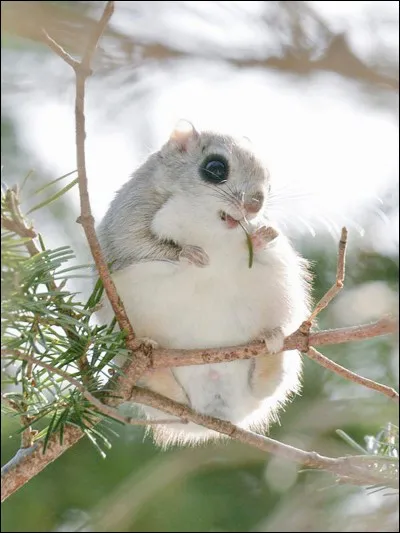 Combien font 6 x 1 ?