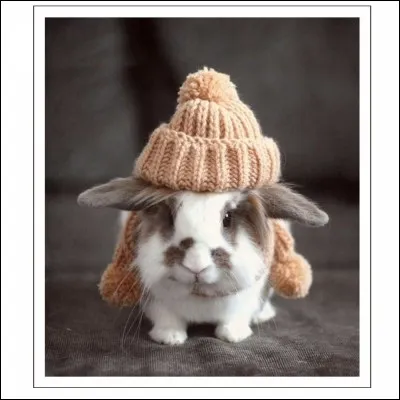 Combien font 6 x 10 ?