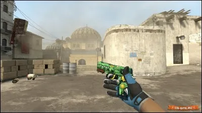 Quel est le nom de ce skin ?