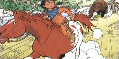 Quel est le titre de cette bande dessinée ?