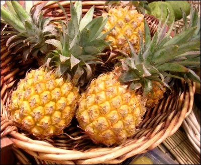 ANANAS - L'ananas fait maigrir.