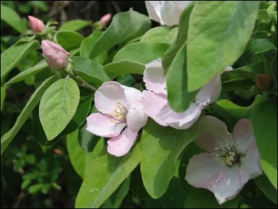 Etre bourré comme ...