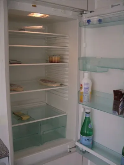 Il ne reste plus grand-chose au frigo ni dans les placards. Tu...