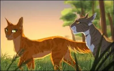 Feuille de Lune est une :