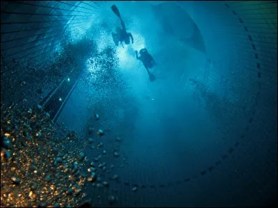 Combien de mètres de profondeur mesure la fosse sous-marine la plus profonde ?