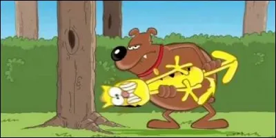 Qui accompagne Fernand dans ses aventures ?